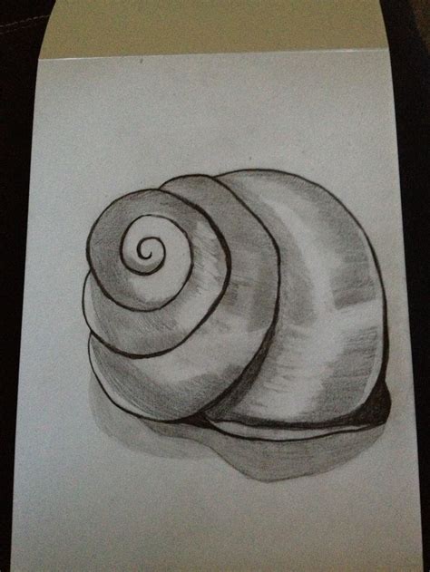 Image result for Shell Drawing Sheet