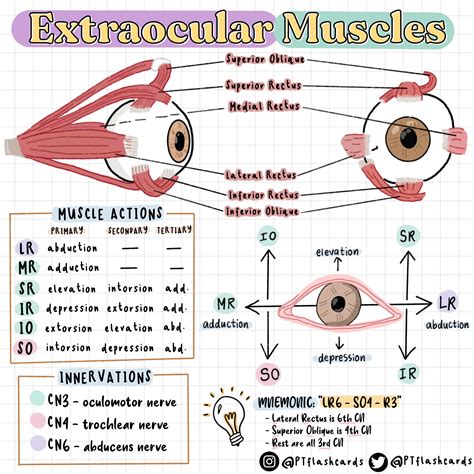 Ocular Motor Dysfunction Exercises