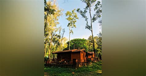 Vana Vihari Eco Tourism Resort, Maredumilli | LBB, Hyderabad