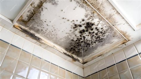 Dirty scary black mold on bathroom ceiling from wet moisture danger ...