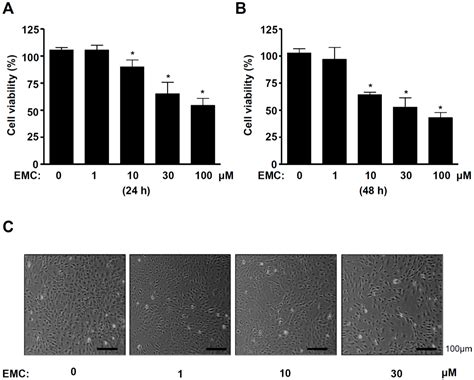 A Phytochemical Constituent, (E)-Methyl-Cinnamate Isolated from Alpinia ...
