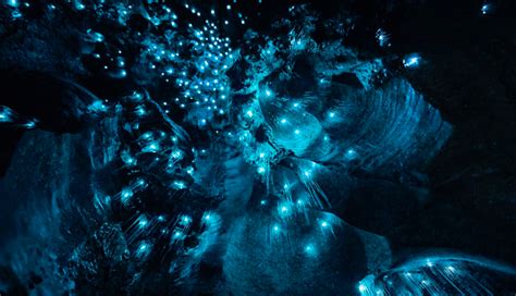 6 Interesting Caves To Visit Around The World - lifeberrys.com