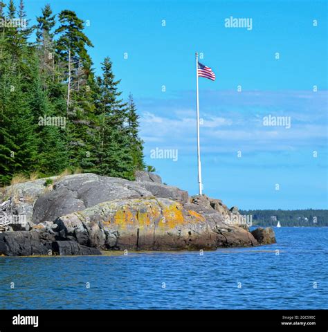 Rock ledge shoreline with spruce trees and white flagpole with American ...