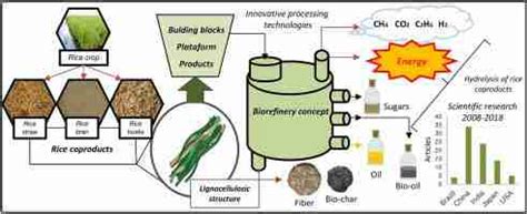 How Is Rice Processed 的图像结果