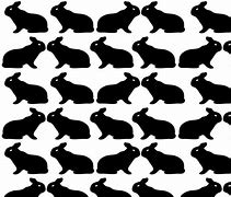 Image result for Bunnies Nest in the Ground