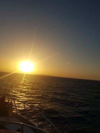 Aziz Sea Trips (Hurghada) - 2022 What to Know Before You Go (with ...