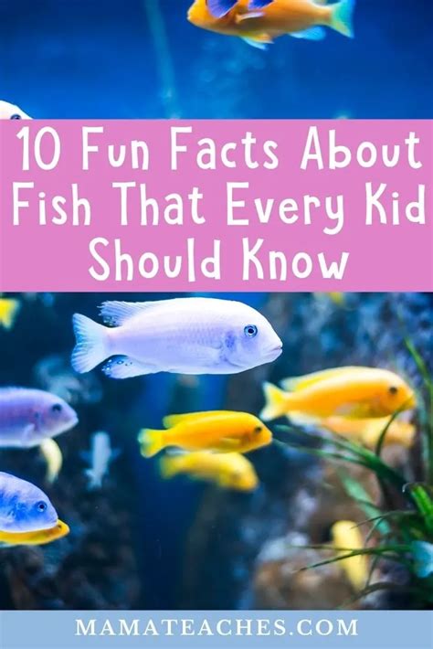 Image result for Fish Facts
