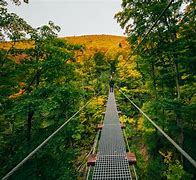 Image result for Hunter Mountain, NY