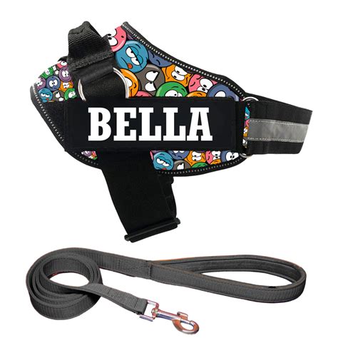 Personalized Dog Harness with Your Pet's Name | KIKA Pets