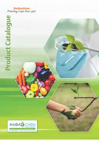 Agriculture Insecticide - Ambapride (Acetamipride 20%SP) Manufacturer ...