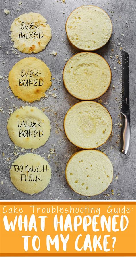 Image result for Cake Cooking Problems