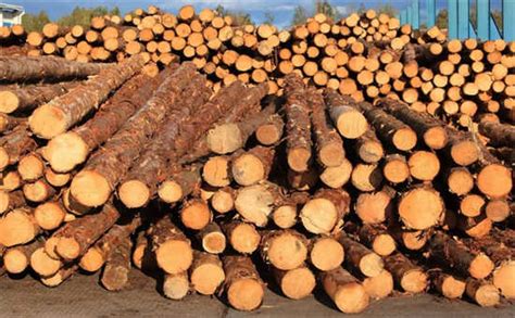 年关将至，木材生意该怎么做？_行业资讯_木头云