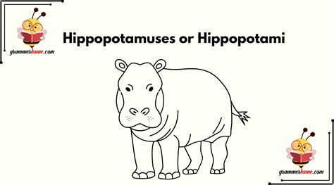 Hippopotamuses or Hippopotami: What's the Correct Plural of Hippopotamus?