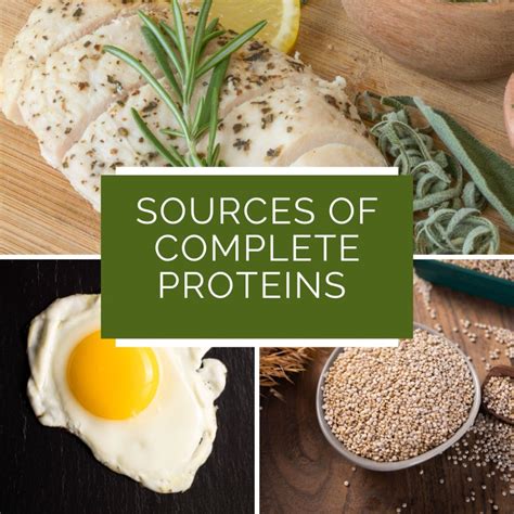 What is a Complete Protein? - Banister Nutrition, LLC | OKC Dietitian | Nutrition Specialists
