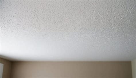 Textured Ceiling Removal 的图像结果