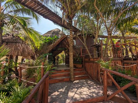 Aviarius - Costa Maya - Entrance building - ZooChat