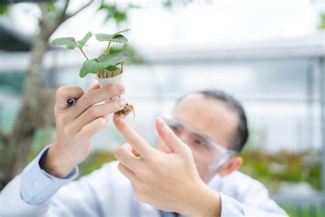Agriculture Scientist 的图像结果