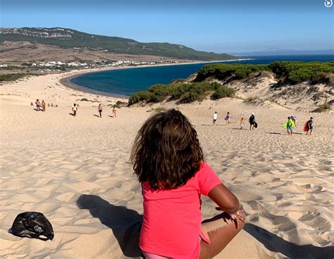 Image result for Pytorch Framework