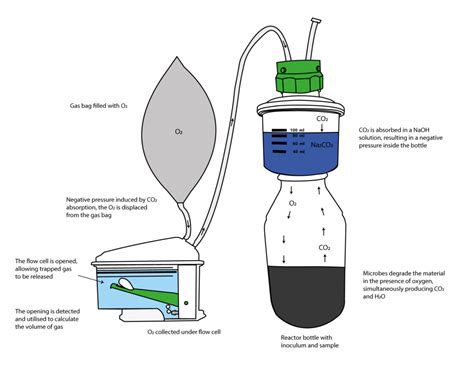 Image result for BPC Tutorial