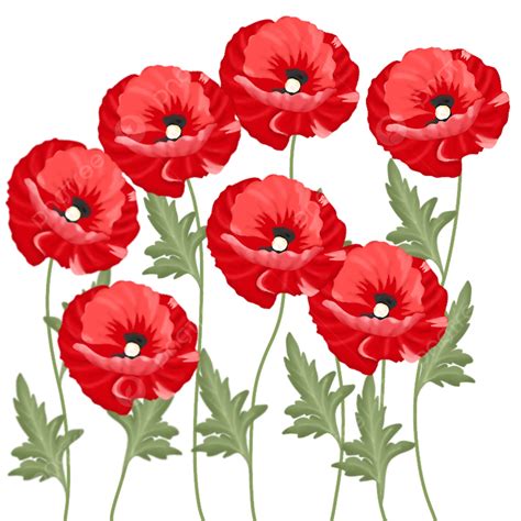Red Poppy Flower Clipart