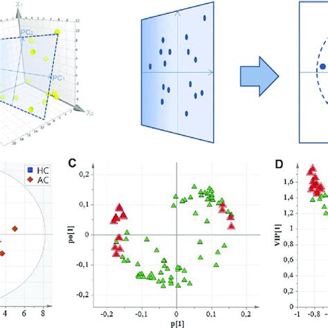 Plot Sus 的图像结果