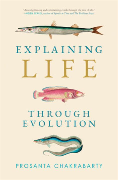 Evolution Book 的图像结果