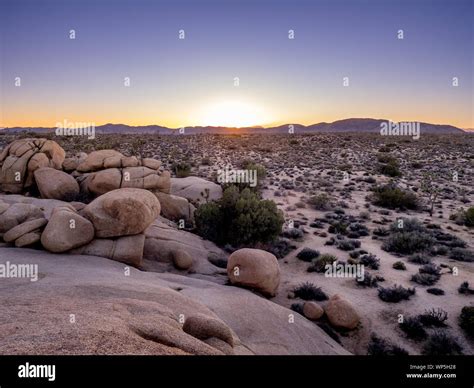 Landscape in Joshua Tree National Park, California, USA, where the Mojave and Colorado desert ...