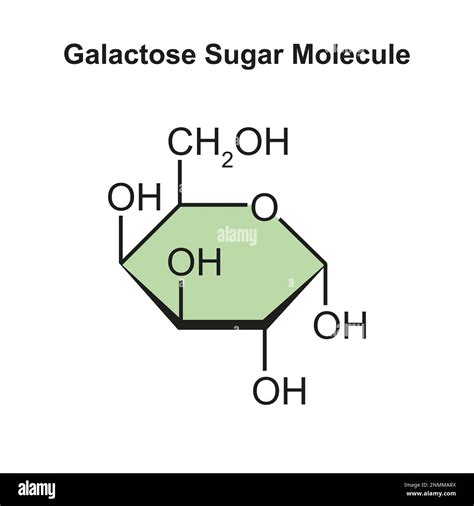 Chemical illustration galactose sugar Cut Out Stock Images & Pictures - Alamy