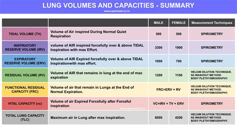 LUNG VOLUMES AND CAPACITIES - SUMMARY