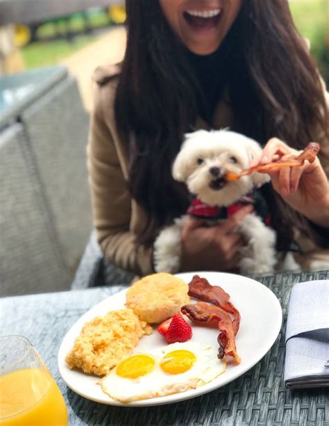 The Oaks Lakeside Kitchen | 3499 US-76, Hiawassee, GA 30546, USA