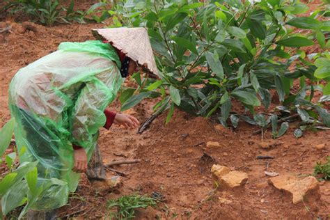 Image result for Ruby Hunting