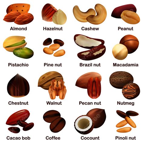 Nuts En Ingles at Mary Lockridge blog