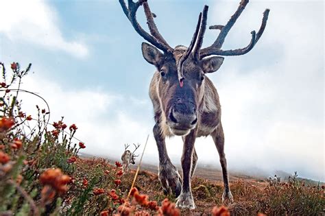 Scotland: More local councils with more autonomy could be bad news for nature