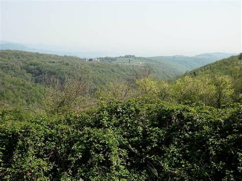 THE BEST Places to Visit in Montecchio (2026) - Must-See Attractions