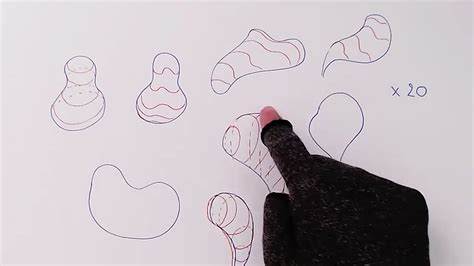 Pro Contour Tutorial 的图像结果