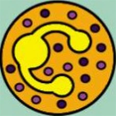 Image result for Blender Cell Animation Tutorial YouTube