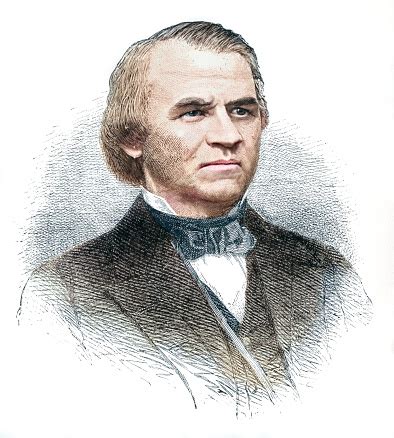 President Andrew Johnson 的图像结果