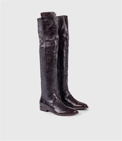 Olivia – King Tartufoli