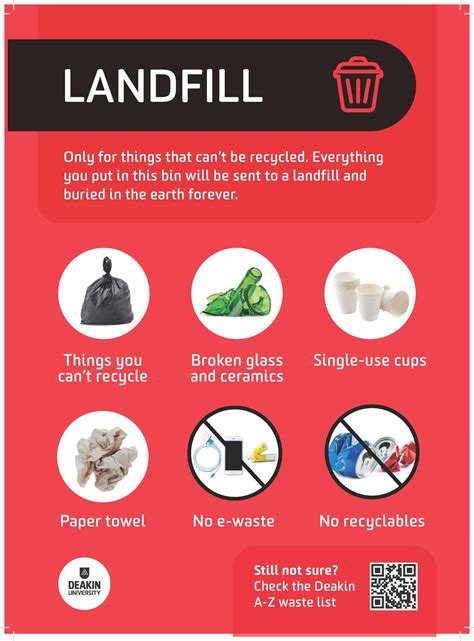 Think before you throw: how to dispose of waste properly and keep ...