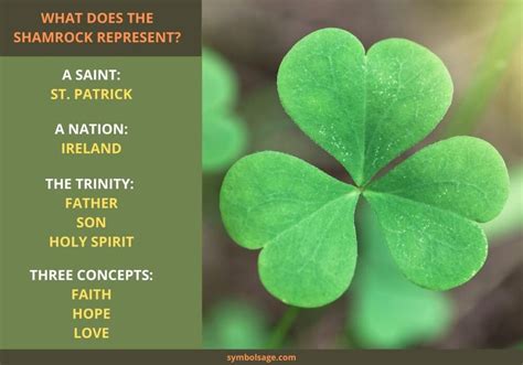 Shamrock: A Symbol of God, a Nation, and a Saint