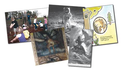 Image result for Observable Phenomenon Examples