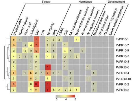 Promoter Region Models 的图像结果