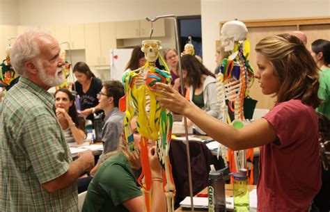 Accelerated OT Programs 的图像结果