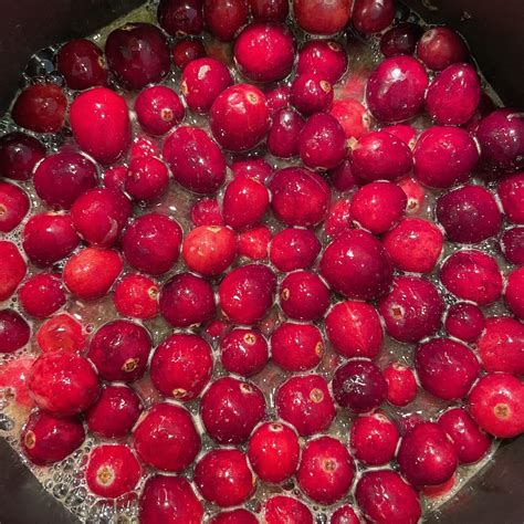 Thanksgiving Cranberry Pre-Order - Natick Community Organic Farm