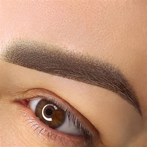 Image result for Microblading Microshading Hybrid Brows