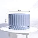 Fleeting Bliss Ceramic Planter – Ugaoo