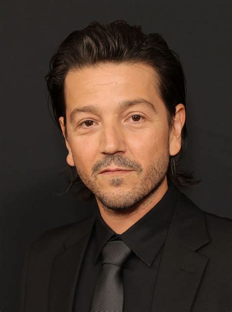 Image result for Diego Luna Princess Bride