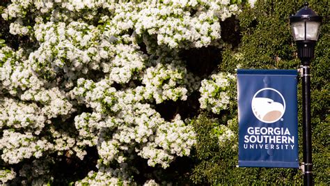 Georgia Southern University College of Graduate Studies - Mark your ...