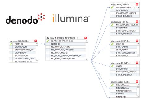 Image result for Data Virtualization Layer Denodo