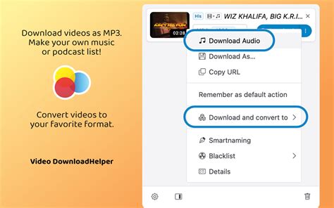 Image result for Video DownloadHelper Tutorial
